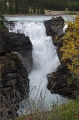 Jasper NP 'Icefields Parkway - Athabasca Falls' 18_09_2011 (38)